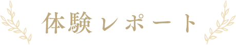 体験レポート